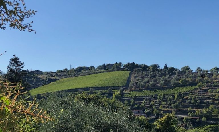 Il Classico Berardenga a tavola