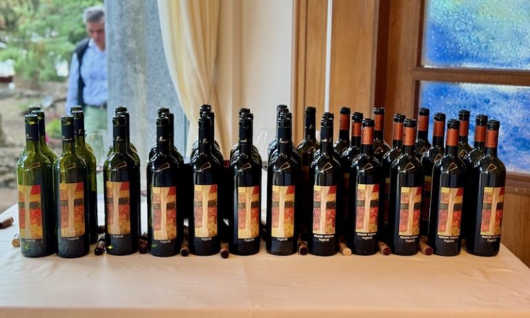 Venti anni di Cabernet Franc. Foglio 38