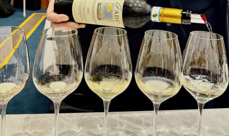 Pantelleria DOC: i vini dell’isola del vento tra passiti e bianchi aromatici