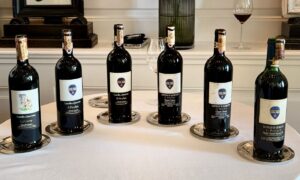 Castello di Querceto Chianti Classico Il Picchio - Verticale