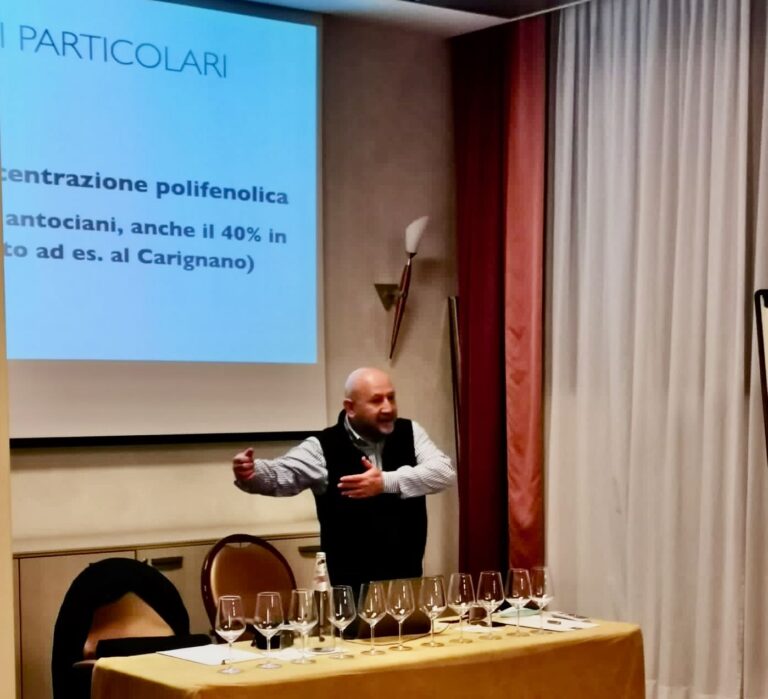 Syrah in Toscana: caratteristiche, territori e differenze tra Cortona e la costa tirrenica