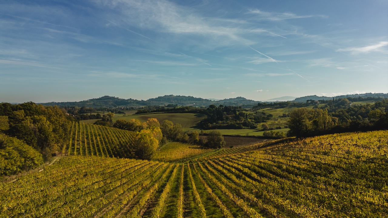 San Gregorio: vini e salumi Cinta Senese