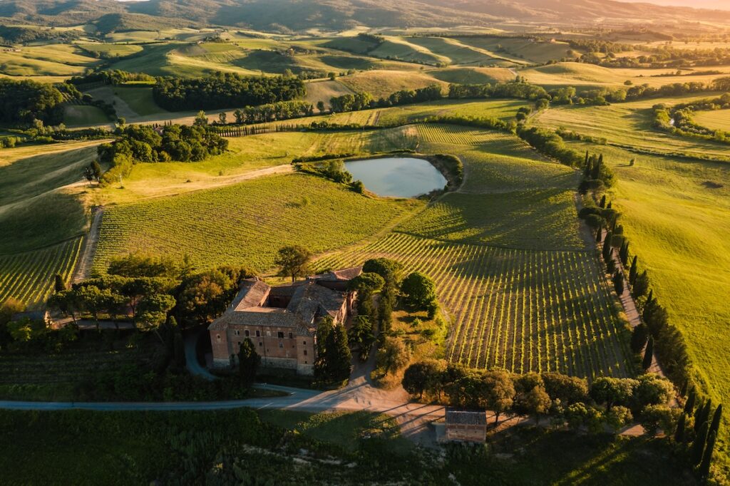 Vigneti di Castello Tricerchi a Montalcino